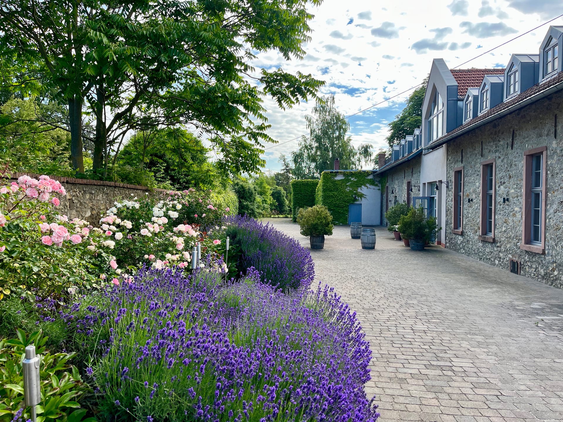 Empfang unter freiem Himmel